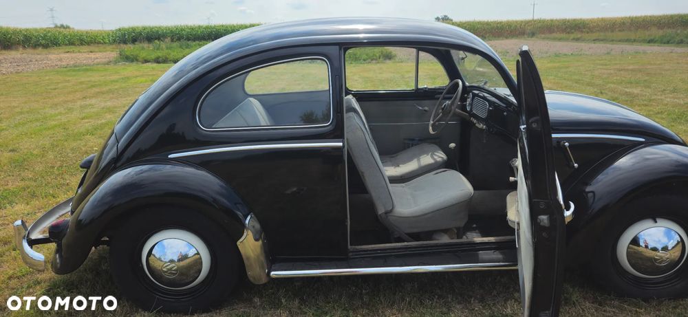 Volkswagen Garbus - 18