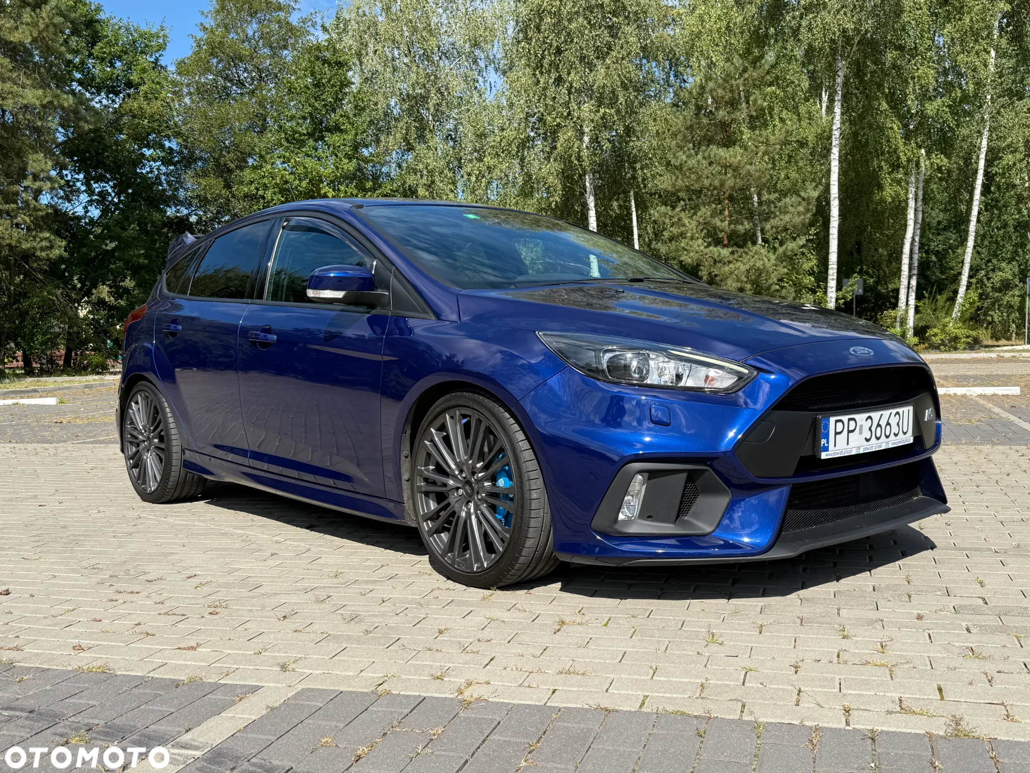 Ford Focus 2.3 EcoBoost S&S Allrad RS - 29