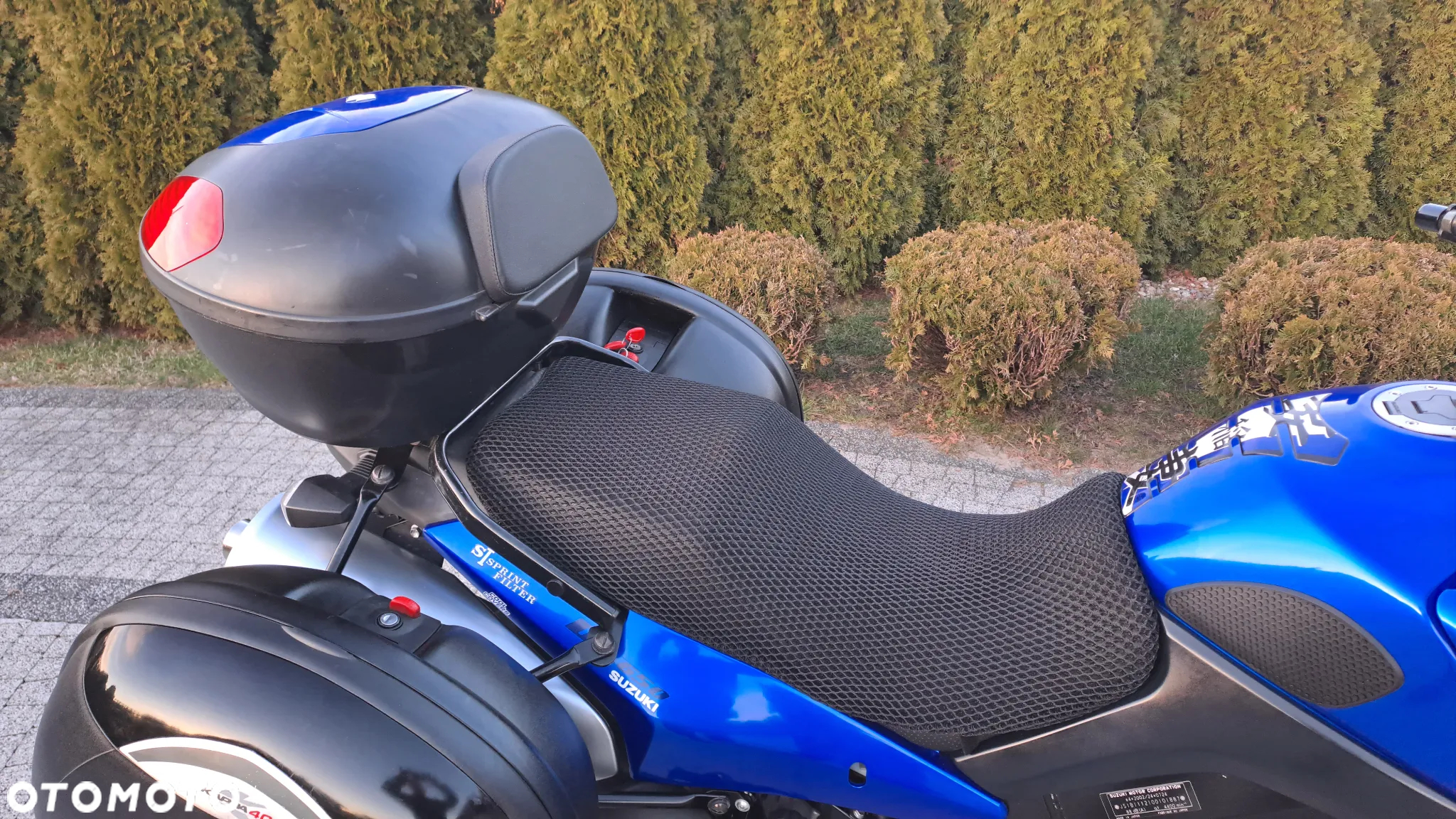 Suzuki DL - 17