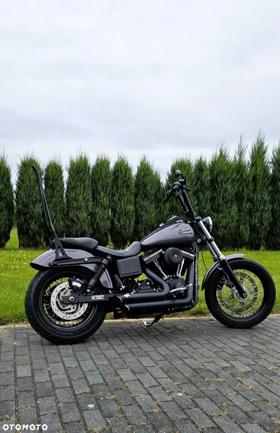 Harley-Davidson Dyna Street Bob - 1