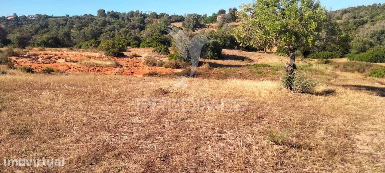 TERRENO RUSTICO A 3 KM DE ALBUFEIRA  com 16.200 m2 - Grande imagem: 5/5