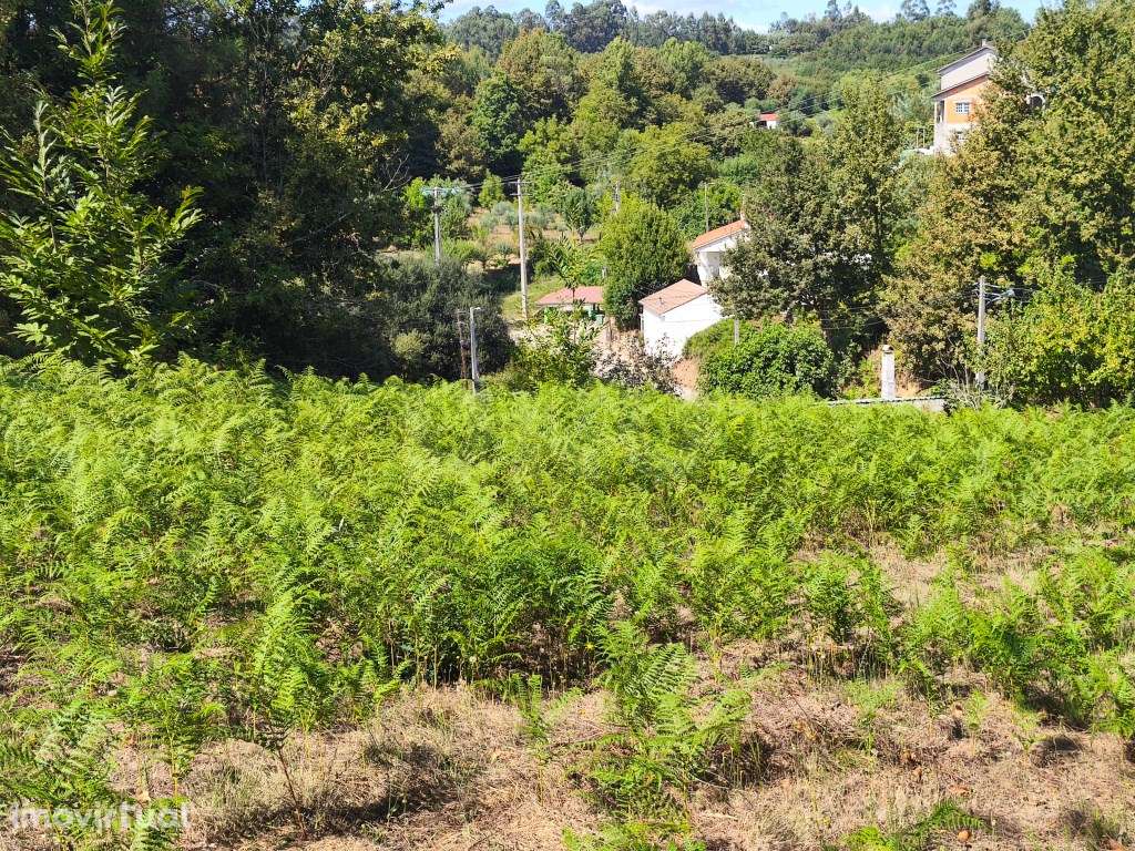 Terreno rústico em zona de construção - Grande imagem: 2/7
