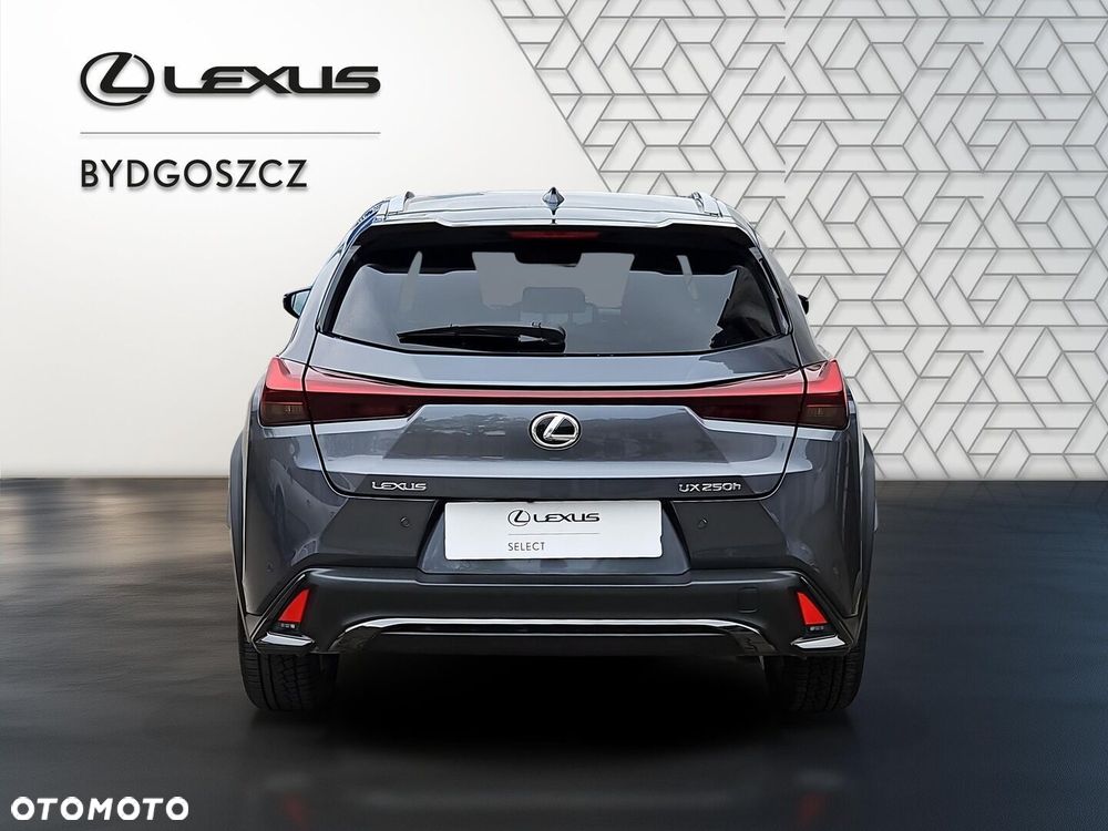 Lexus UX 250h GPF F Sport Design+ 2WD - 5