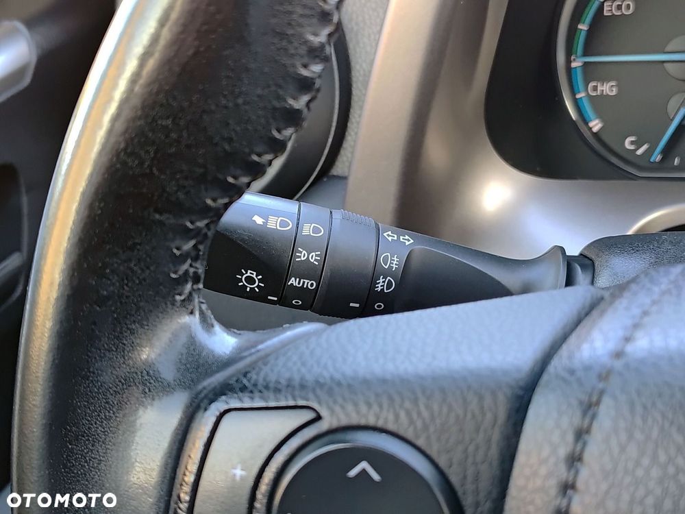 Toyota RAV4 Hybrid Prestige 4x2 - 19