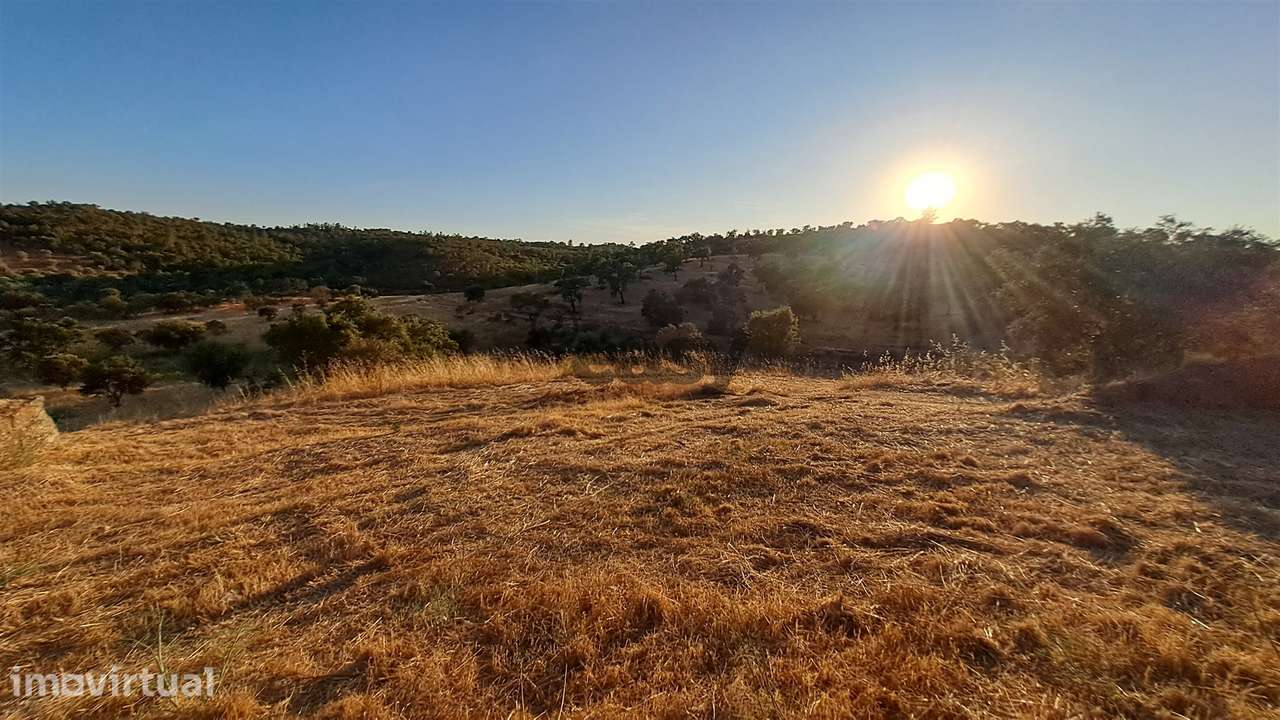 TERRENO RÚSTICO COM 6,82 Hectares em Alqueva com Ruína e Poço - Grande imagem: 3/14