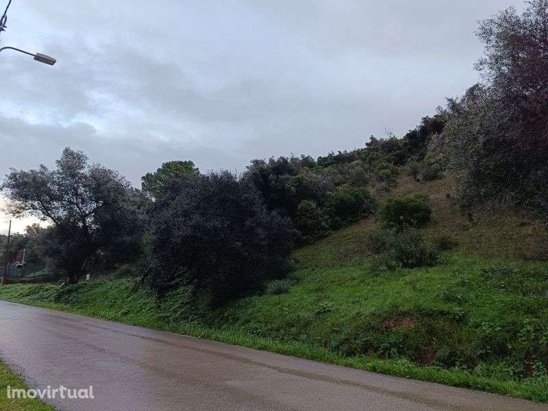 Vendo Terreno no campo - Grande imagem: 2/5