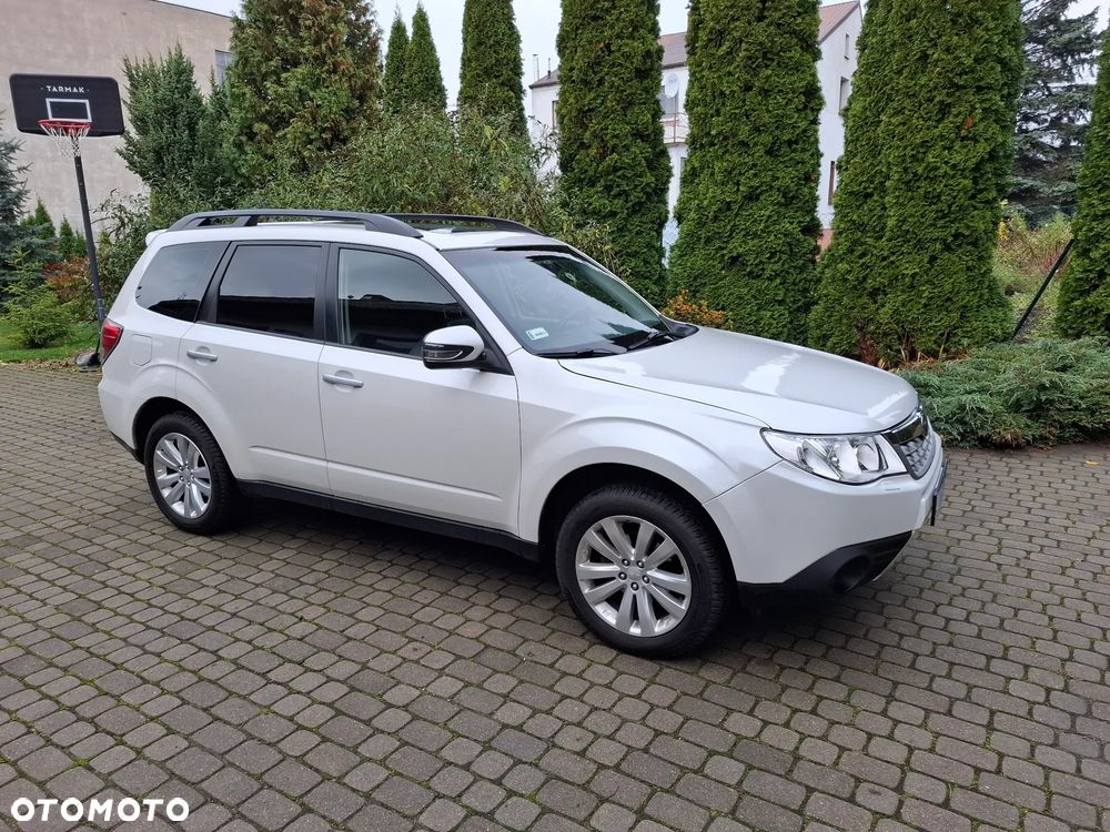Subaru Forester - 1