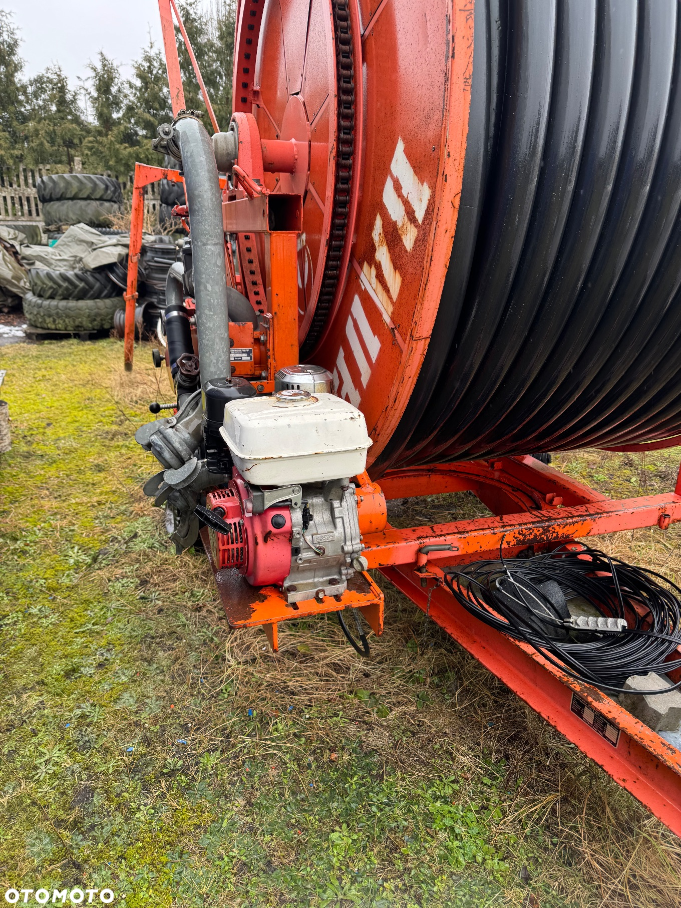 Inny Bauer Rainstar - 7