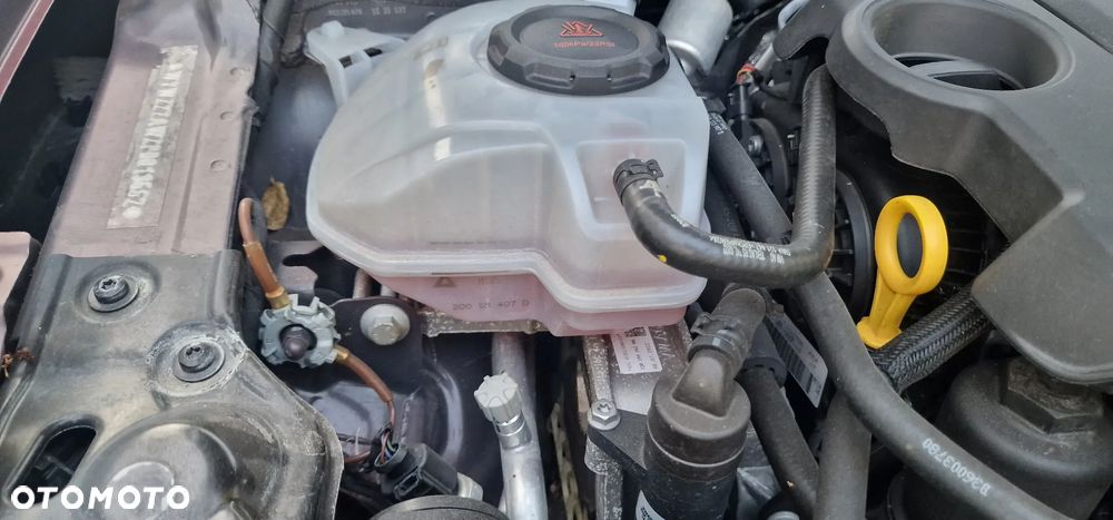 Volkswagen Polo 2.0 TSI GTI DSG - 37