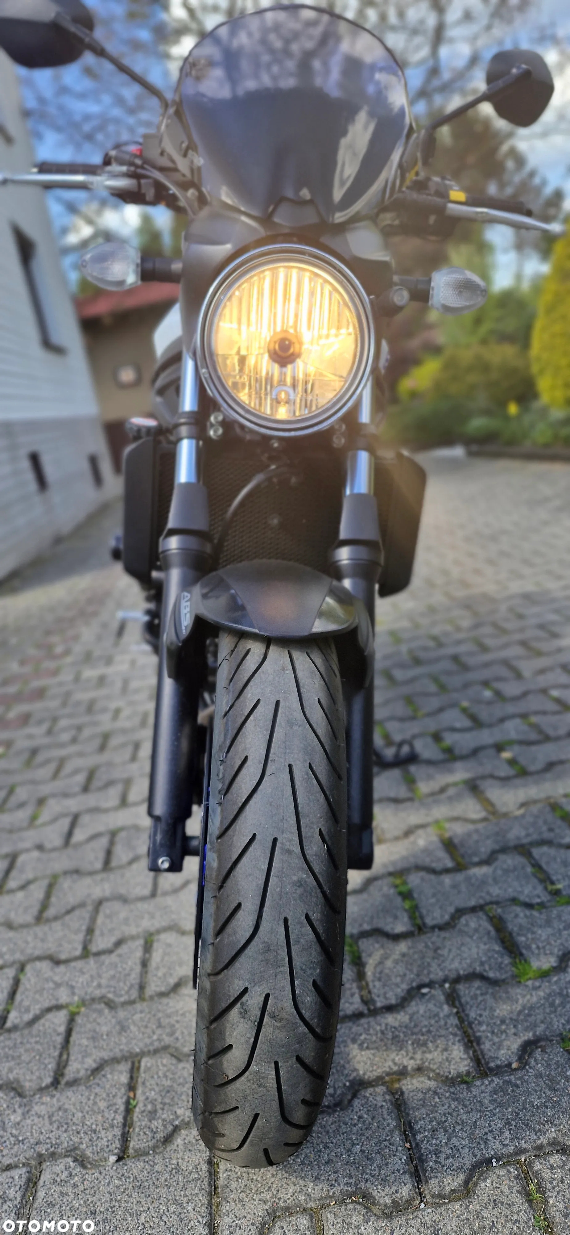 Suzuki SV - 4