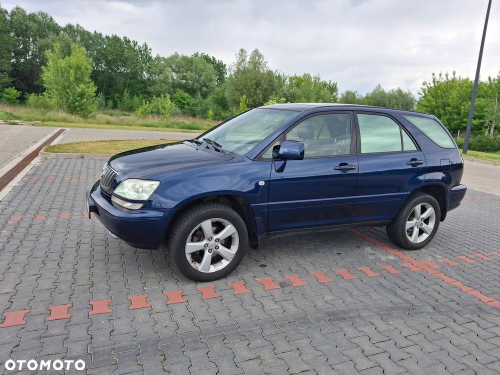Lexus RX Lux - 7