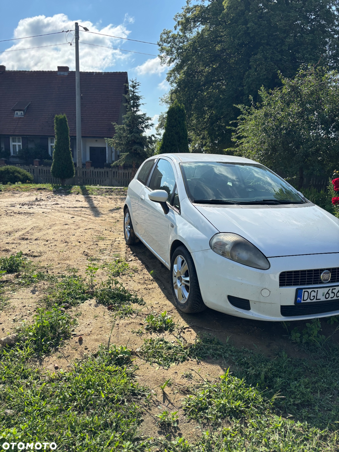 Fiat Punto - 2