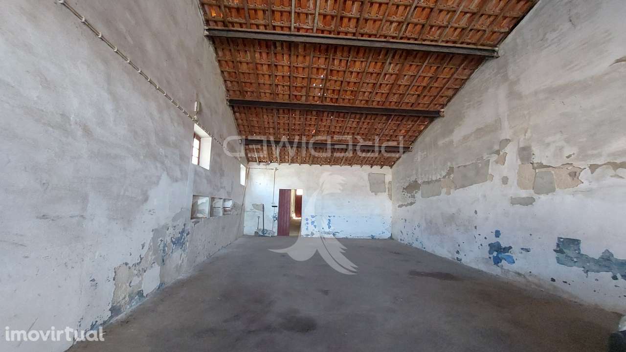 Armazém em Mombeja - Grande imagem: 4/11