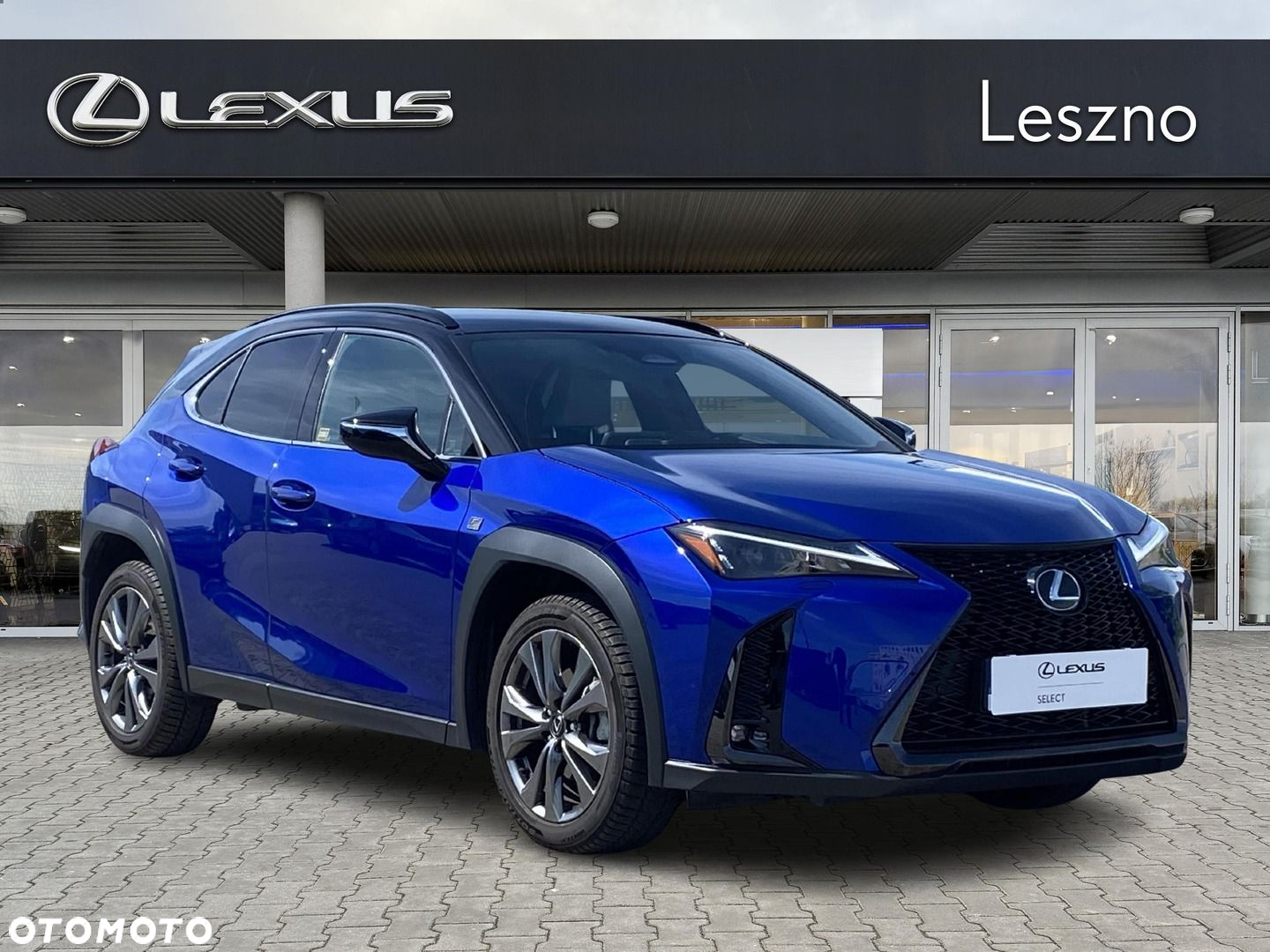 Lexus UX - 5