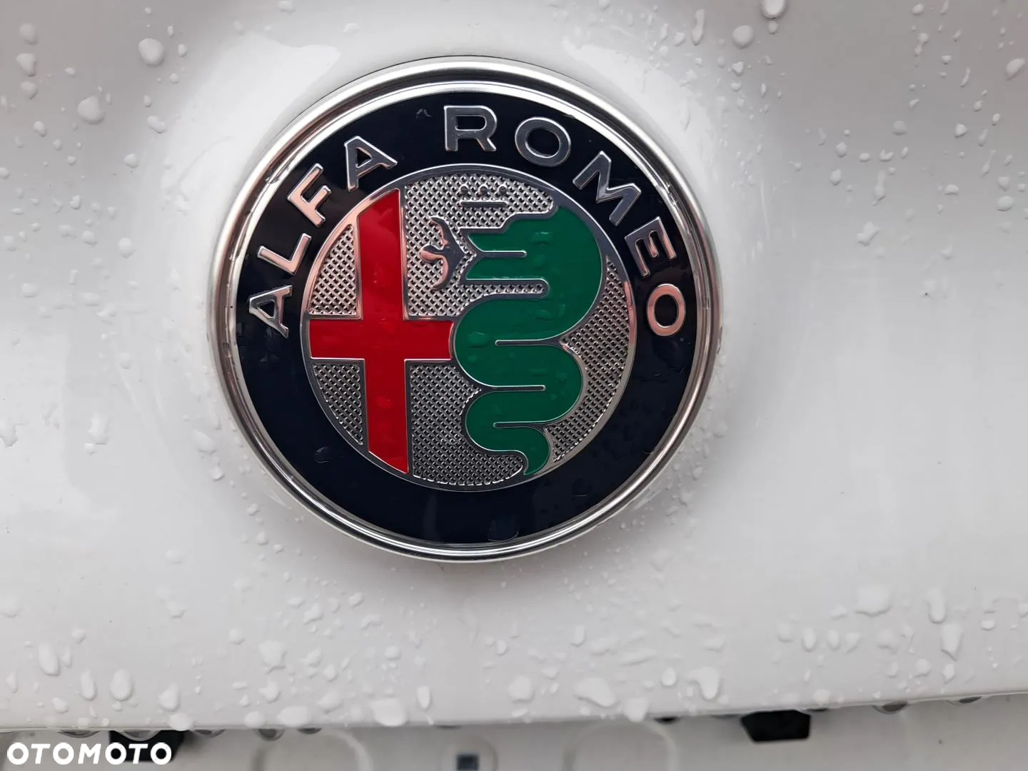 Alfa Romeo Giulia 2.0 Turbo Tributo Italiano Q4 - 18