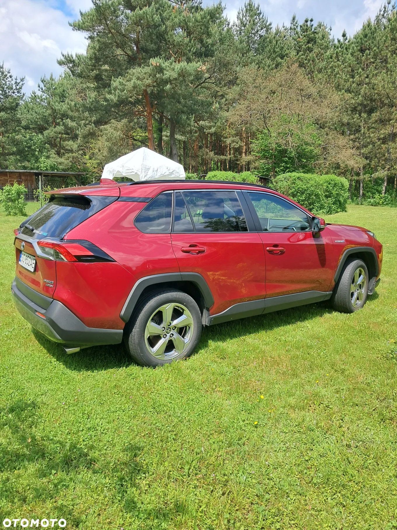 Toyota RAV4 2.5 Hybrid Comfort 4x4 - 21