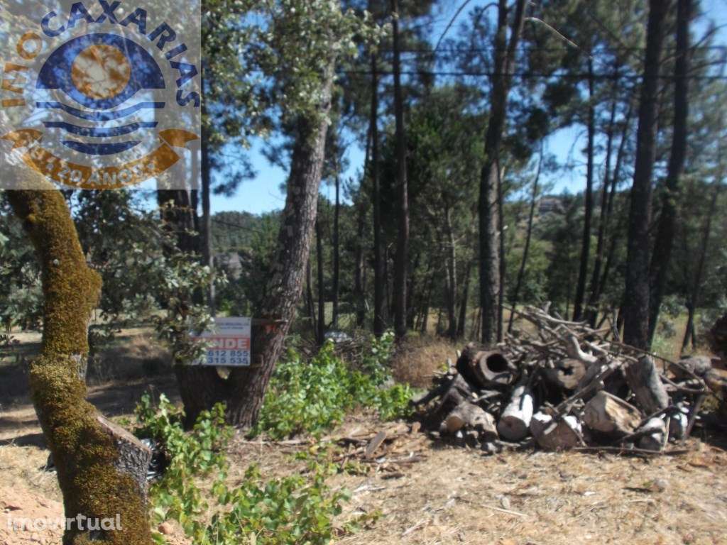 Terreno para construção. - Grande imagem: 4/4