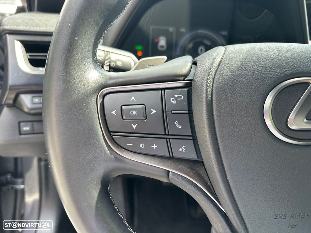 Lexus UX 300e Luxury - 18