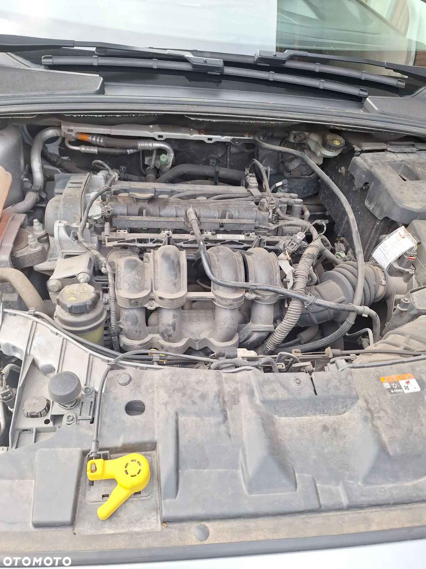 Ford Focus - 12