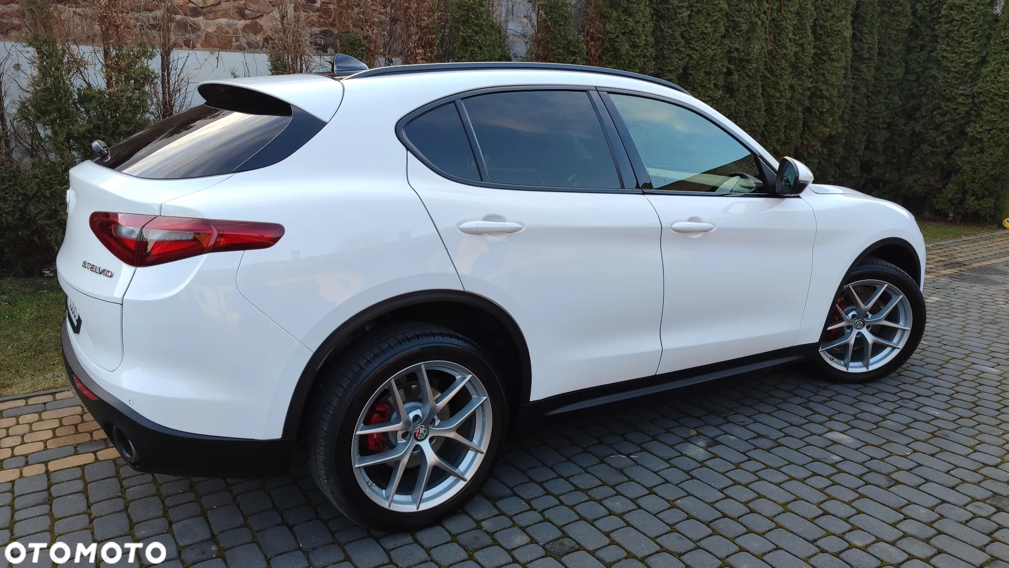 Alfa Romeo Stelvio 2.0 Turbo B-Tech Edition Q4 - 26