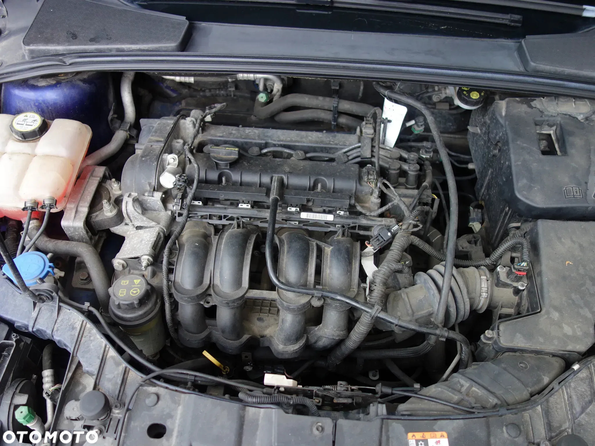 Ford Focus 1.6 Platinium X - 8