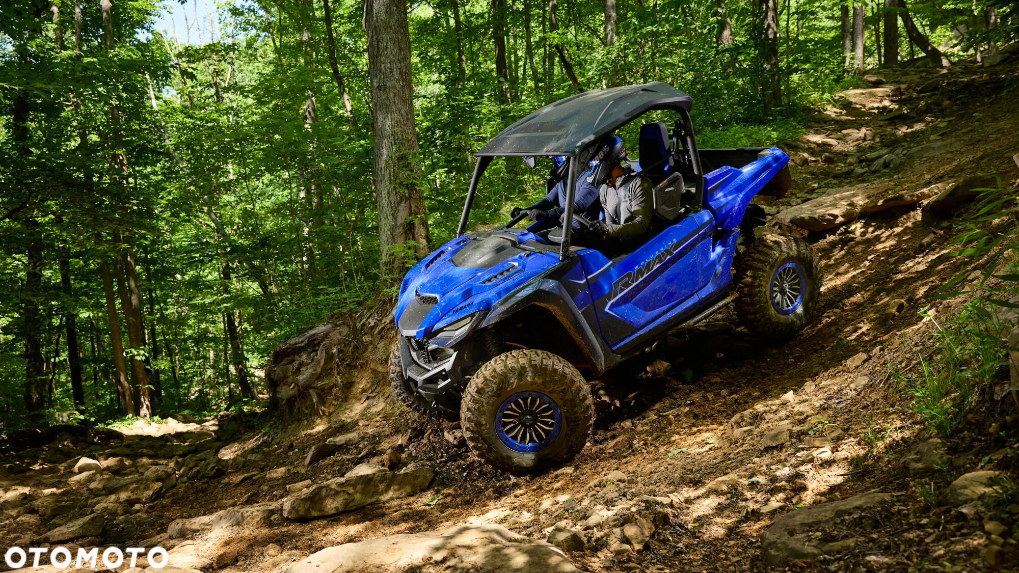 Yamaha Wolverine - 4