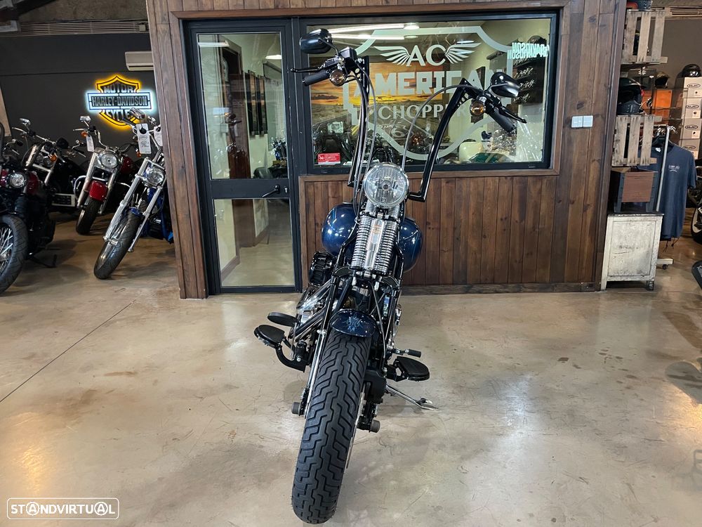 Harley-Davidson FLSTS Crossbones - 19