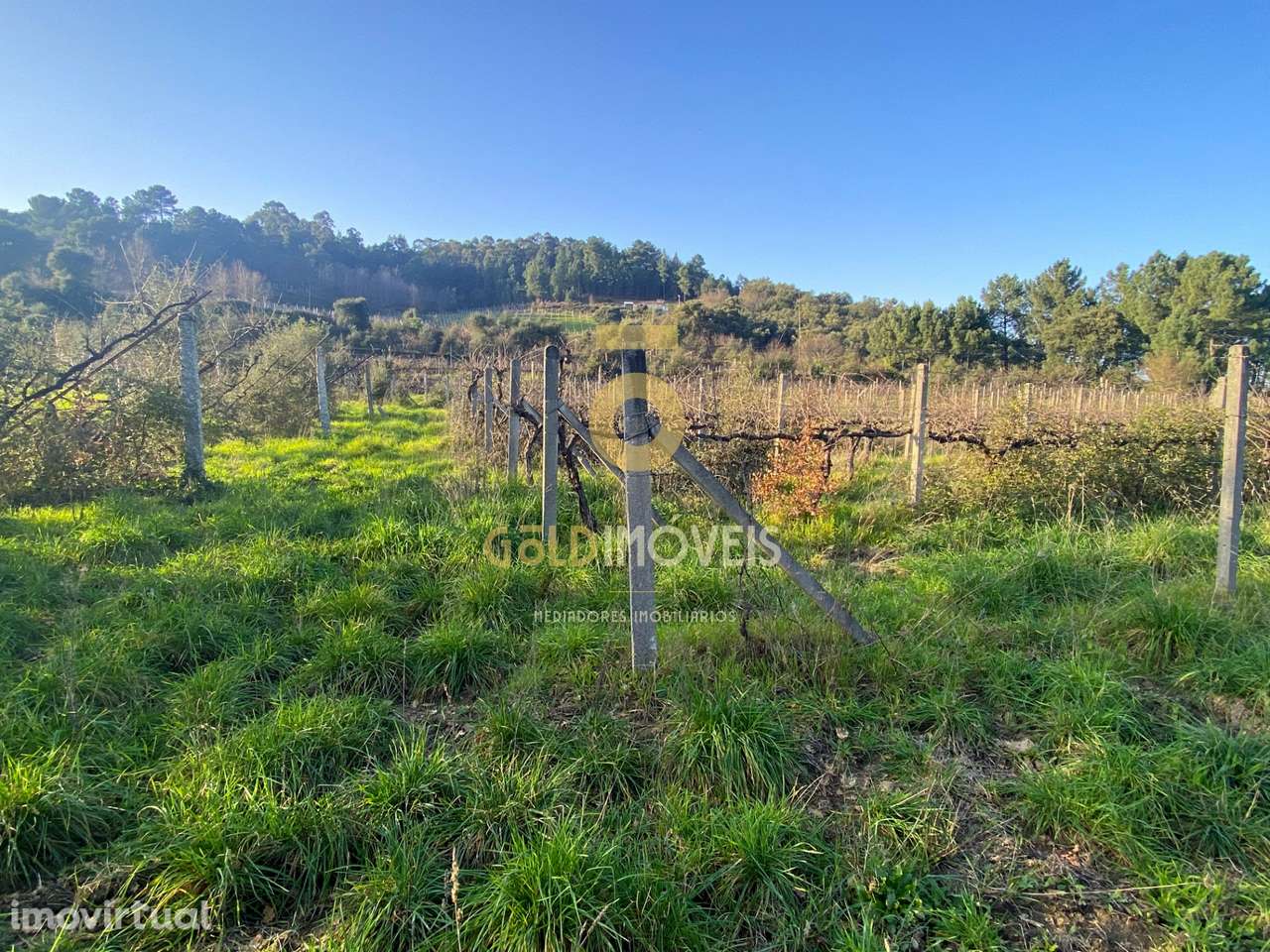 Terreno Rústico - Grande imagem: 2/10