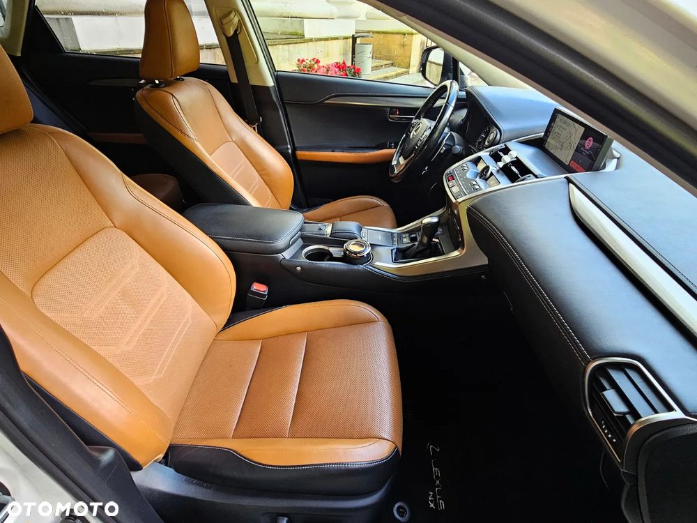Lexus NX - 16