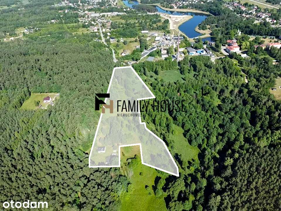 Urokliwe siedlisko 2,63ha z zabudowaniami, Bliżyn - Pełny obrazek: 3/17