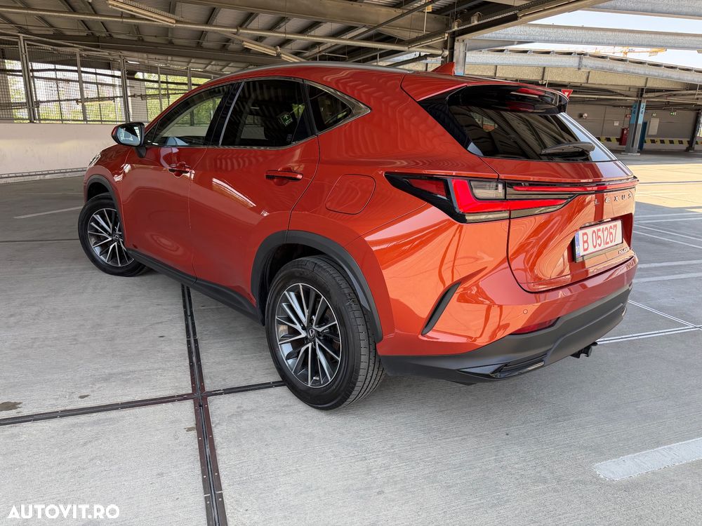 Lexus Seria NX 450h+ E-FOUR Executive Line - 12