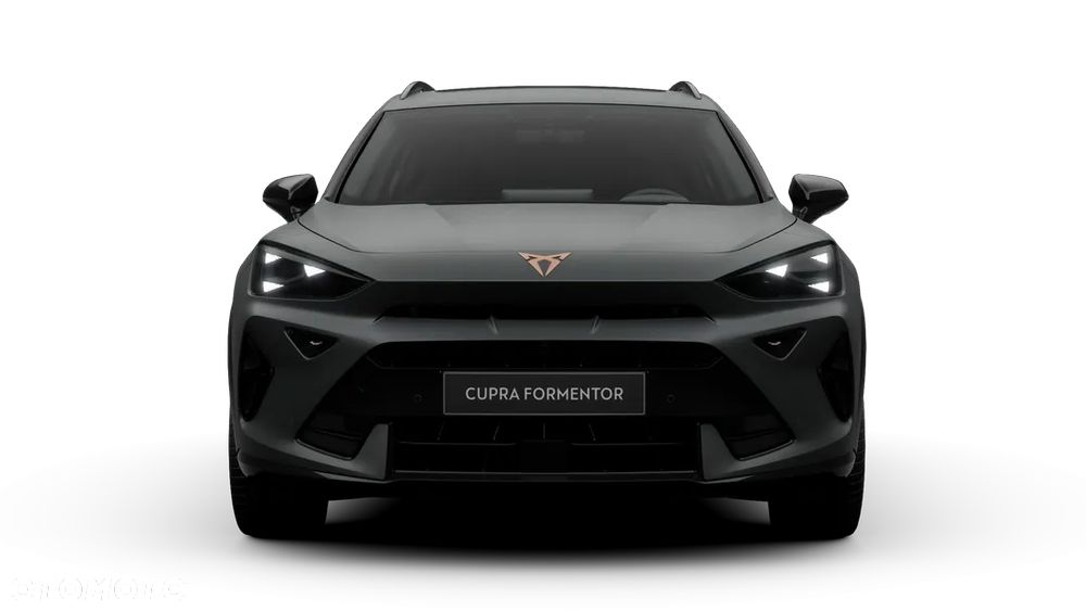 Cupra Formentor 2.0 TSI 4Drive DSG - 7