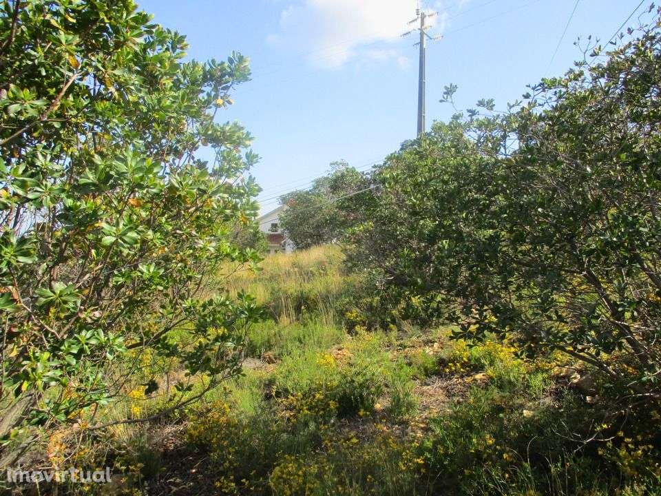 Quinta - Grande imagem: 3/13