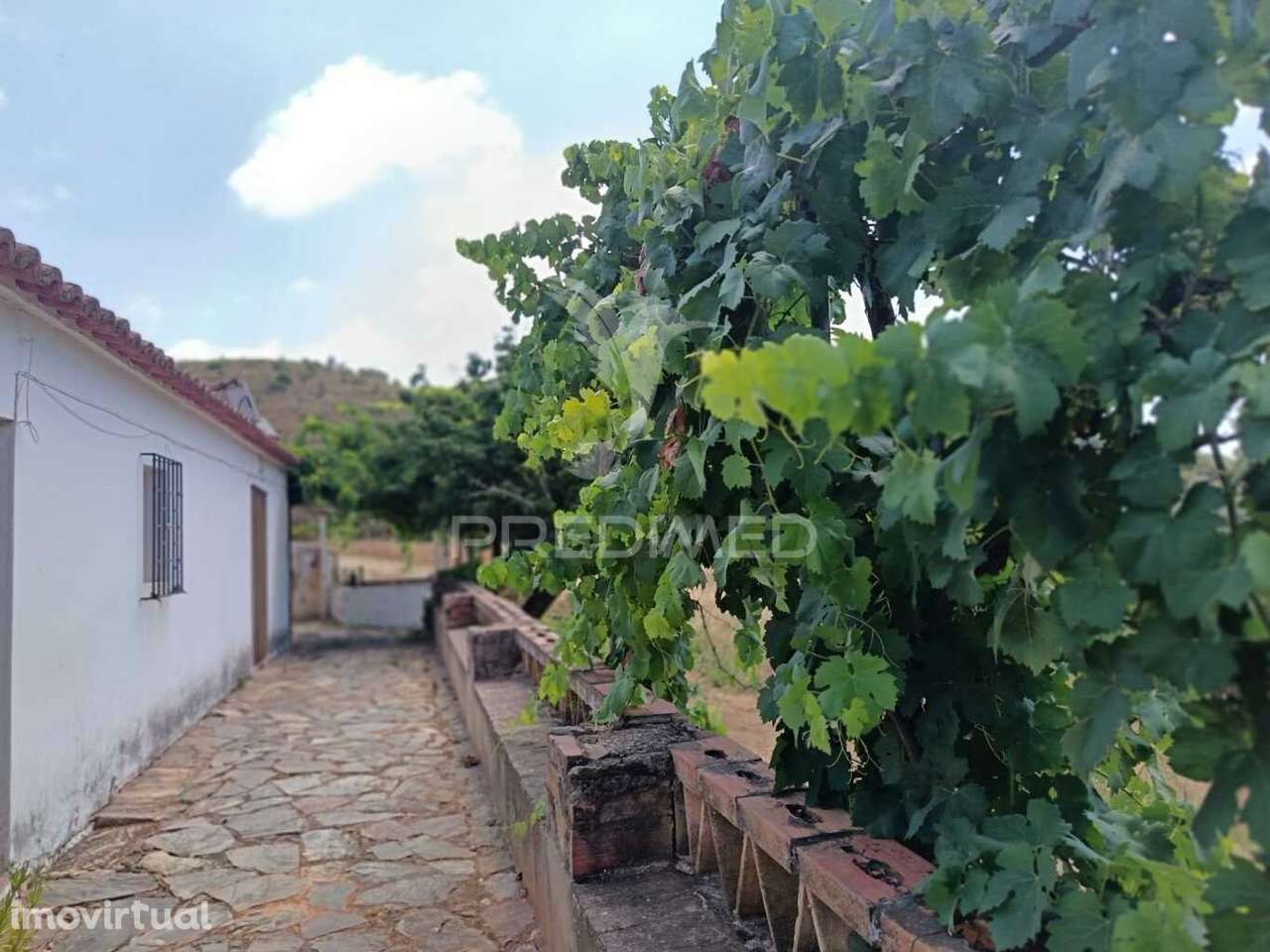 Monte Alentejano com Terreno e Infraestruturas – São Barnabé, Almod... - Grande imagem: 2/33