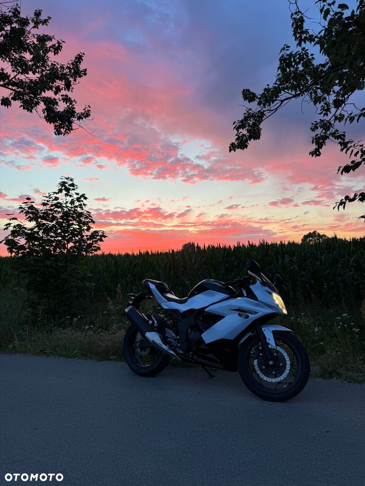 Kawasaki Ninja 250R - 7