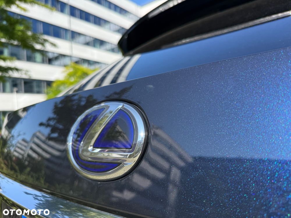 Lexus RX 450h Omotenashi - 20