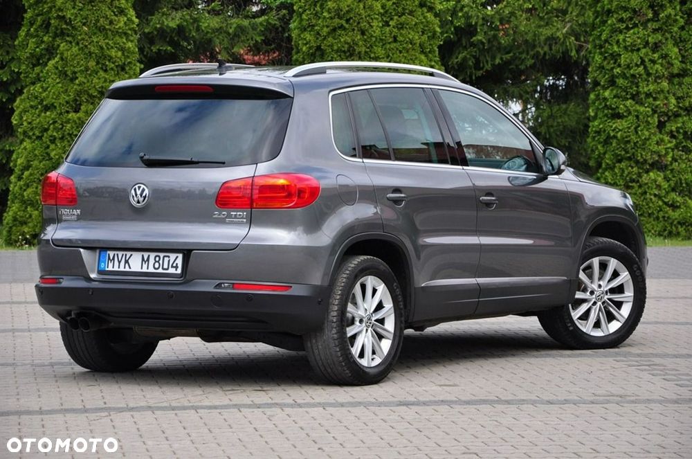 Volkswagen Tiguan - 14