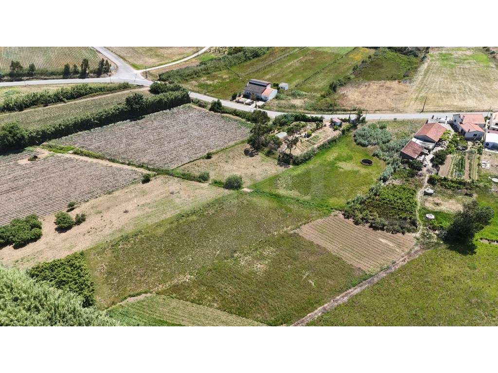 Terreno com 4.840m2, para venda, em Maceira - Grande imagem: 4/16
