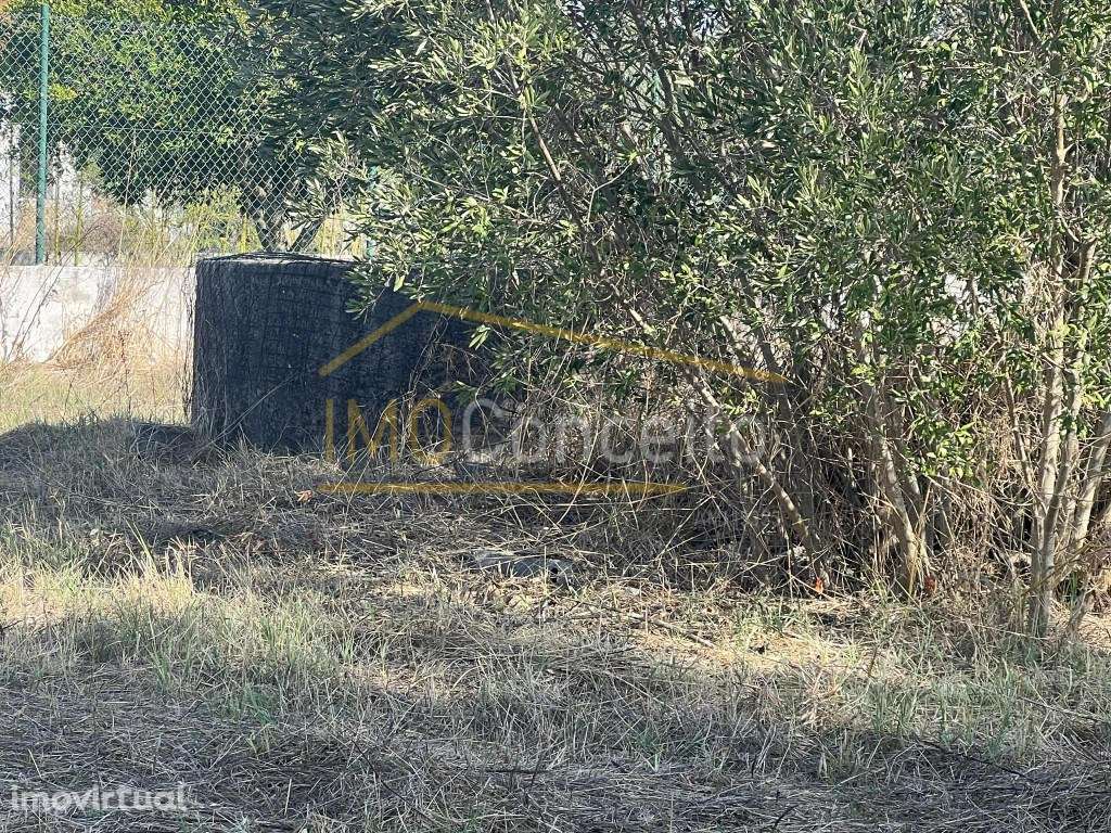 Terreno Rustico |com viabilidade de Construção| Asseiceira - Grande imagem: 4/17