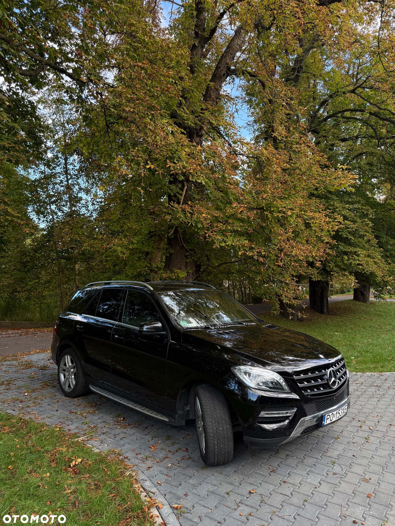 Mercedes-Benz ML 350 BlueTec 4-Matic - 3