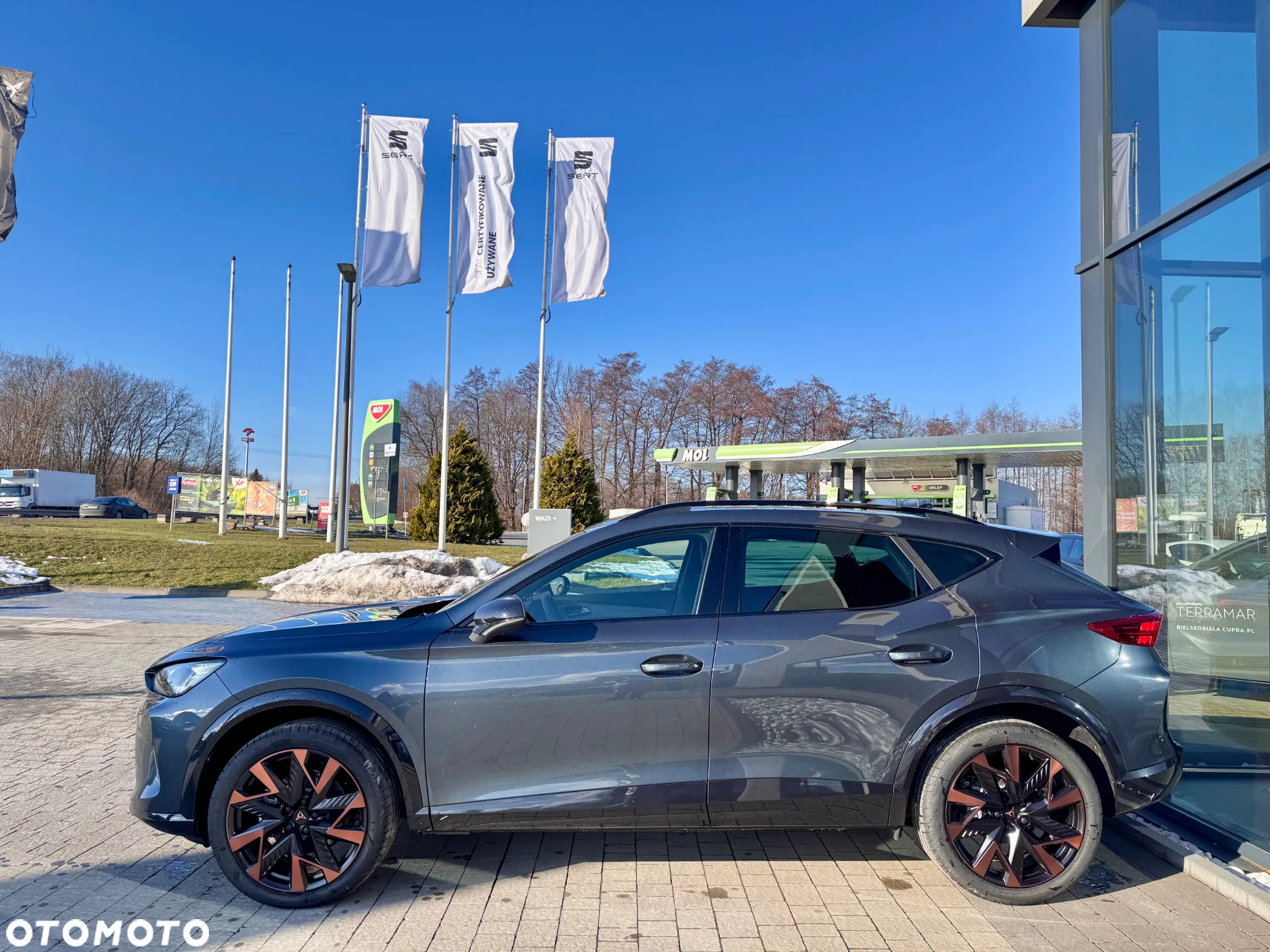 Cupra Formentor 1.5 eTSI mHEV DSG - 5