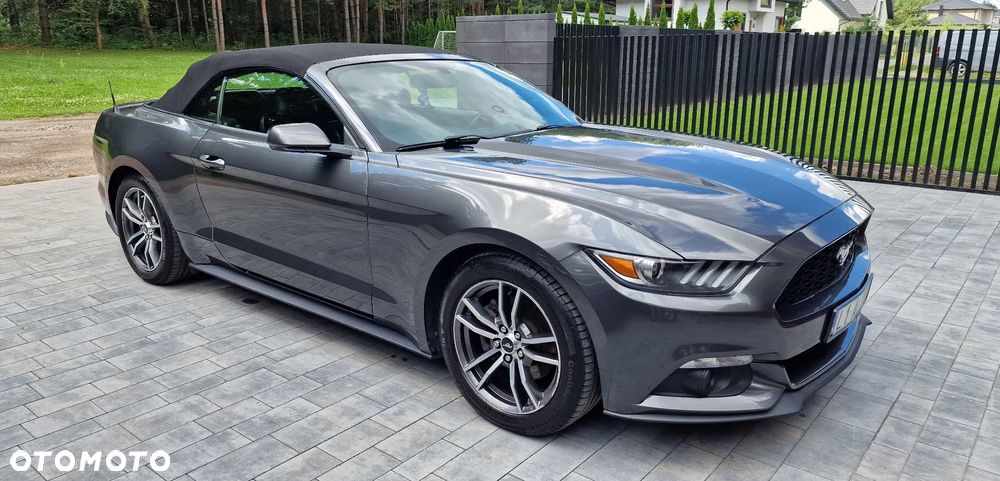 Ford Mustang Cabrio 2.3 Eco Boost - 8