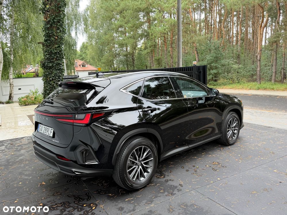 Lexus NX 350h Business AWD - 14