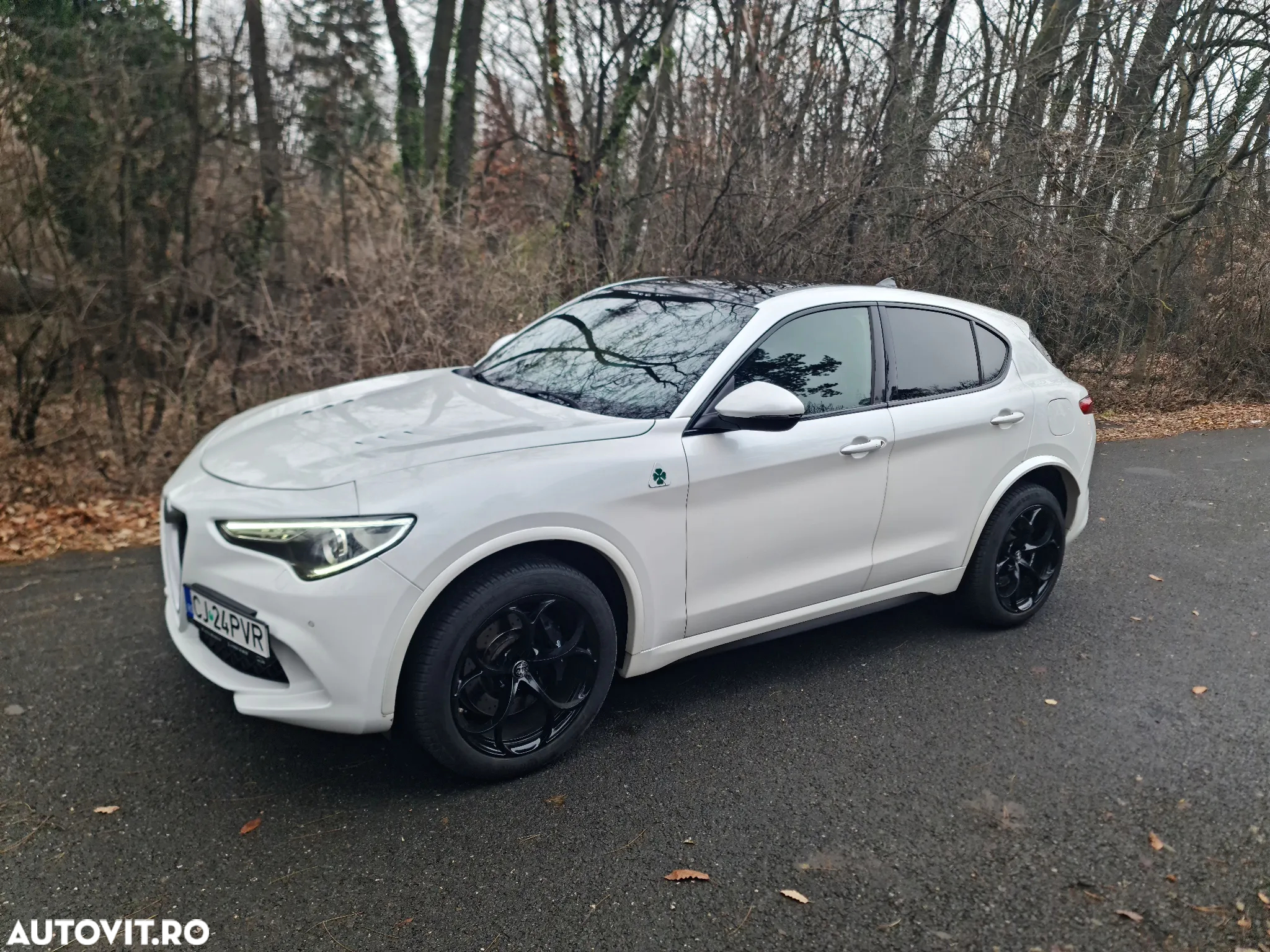 Alfa Romeo Stelvio 2.9 V6 Turbo AWD AT8 Quadrifoglio - 2