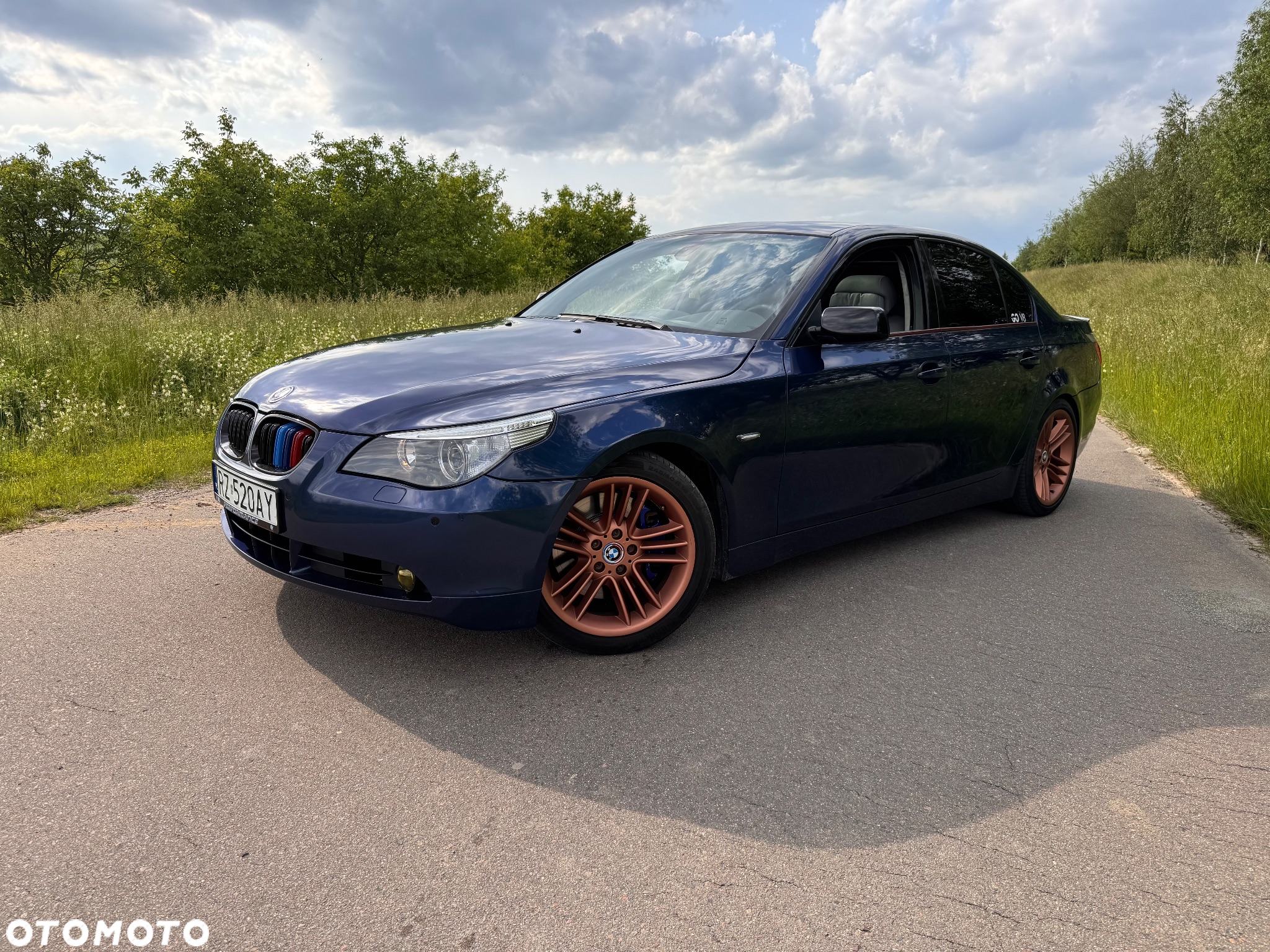 BMW Seria 5 545i - 2