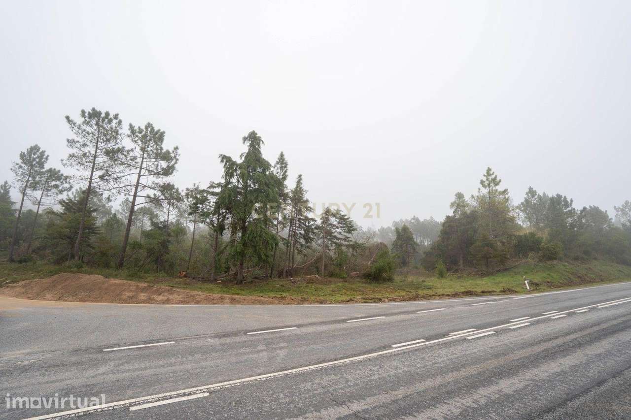 Terreno em Miranda do Corvo- Oportunidade Única por 37.000€ - Grande imagem: 5/8