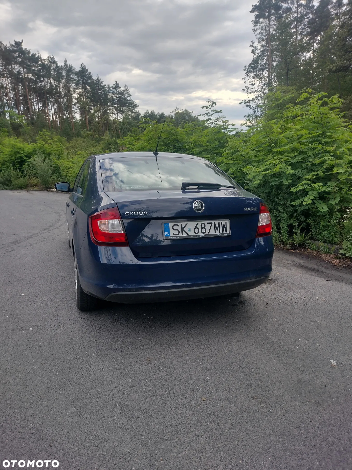 Skoda RAPID - 11