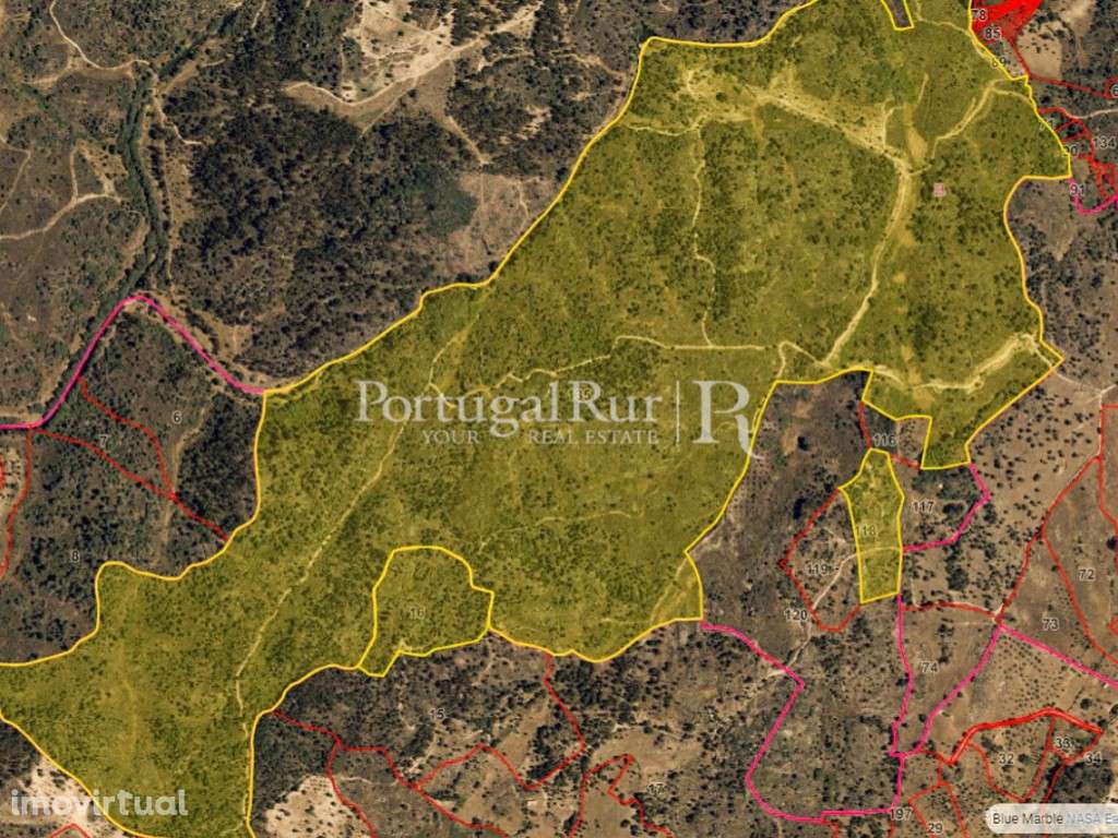 Herdade com 108 hectares em Idanha-a-Nova - Grande imagem: 2/14