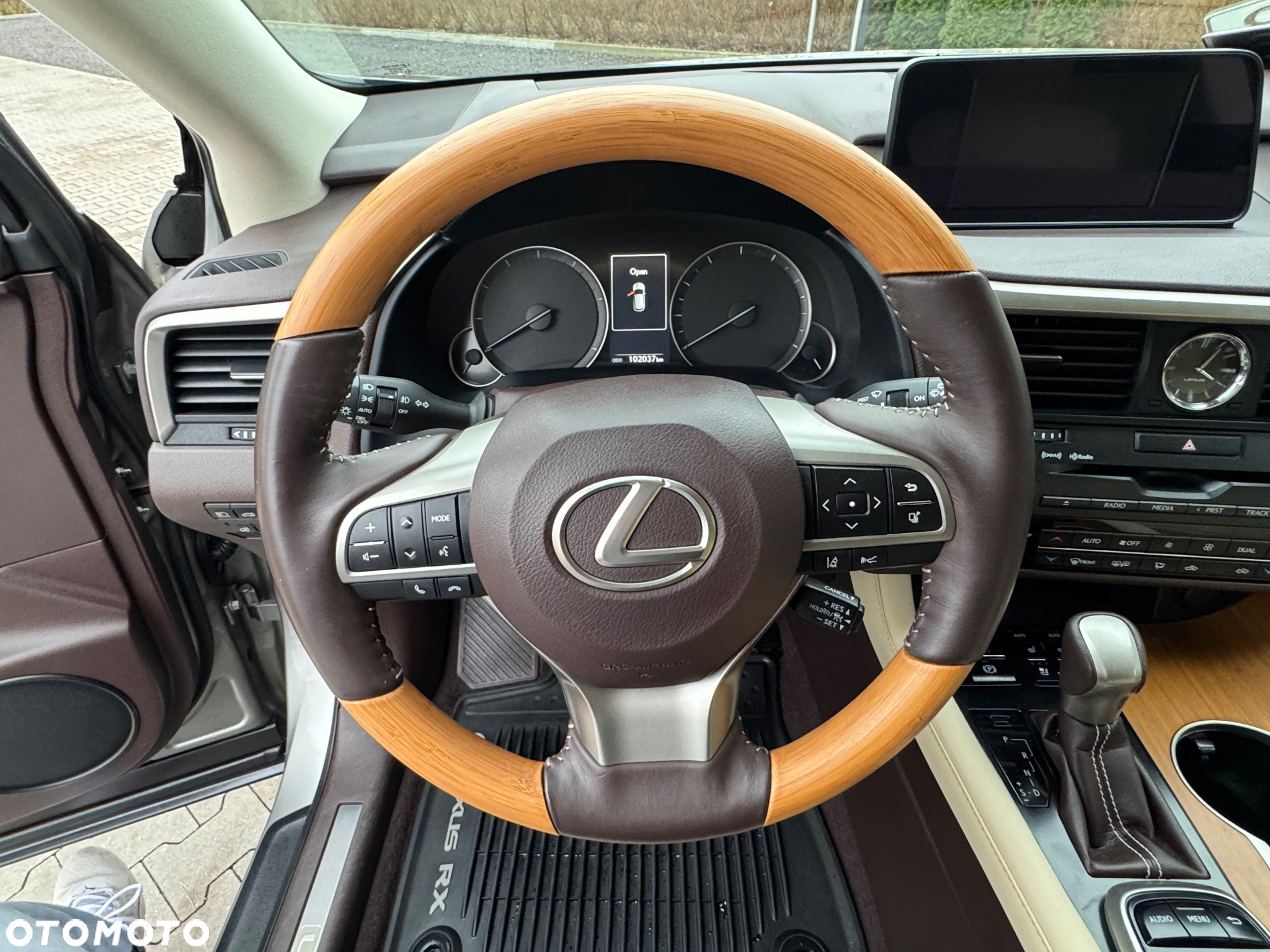 Lexus RX - 18