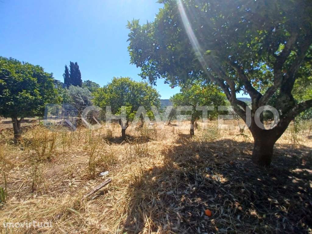 Terreno com 800 m2 perto da albufeira do Castelo do Bode. - Grande imagem: 5/7